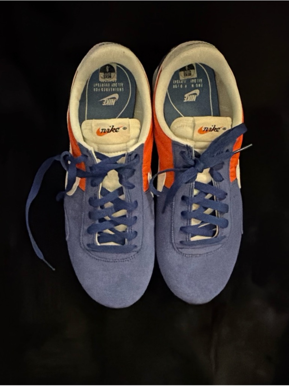Nike Low-Top Sneakers in Blue and White